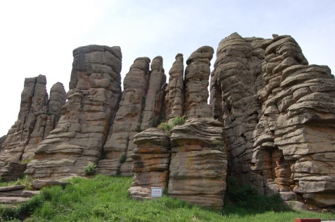 ��Ʒ������