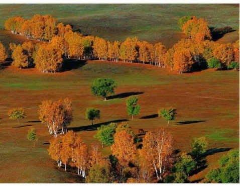 ��Ʒ������