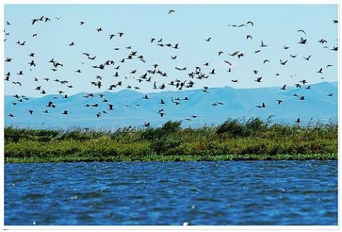 ��Ʒ������