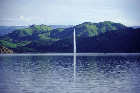 ��Ʒ������