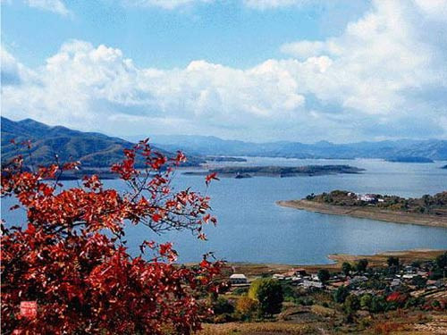 ��Ʒ������