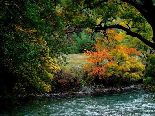 ��Ʒ������