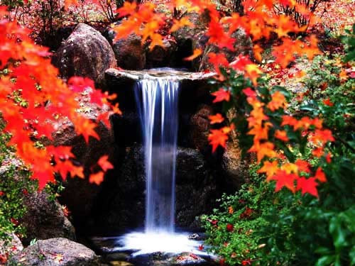 ��Ʒ������