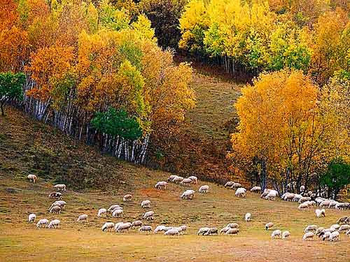 ��Ʒ������