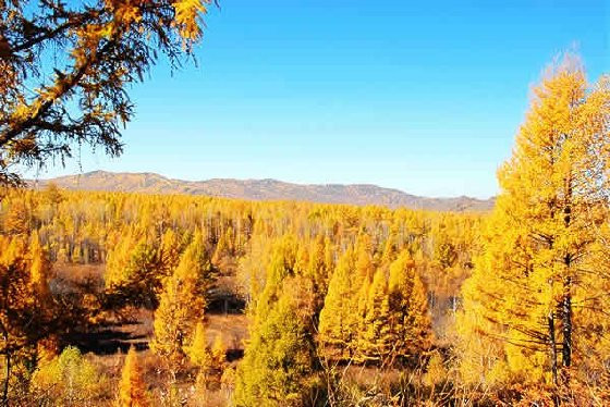 ����ɭ���·��֣��߸�������������Ȼ�ĺõط� - ���쾻��&mdash;&mdash;��ɽ - ��ɽ&mdash;&mdash;��ɽ֮��