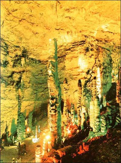 ��Ʒ������