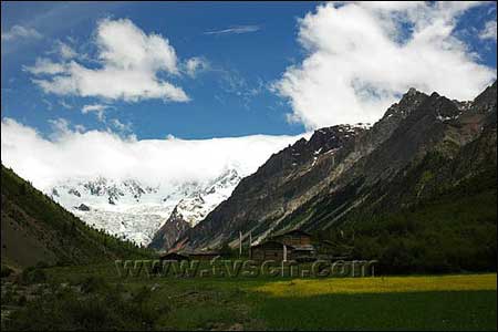 ��Ʒ������