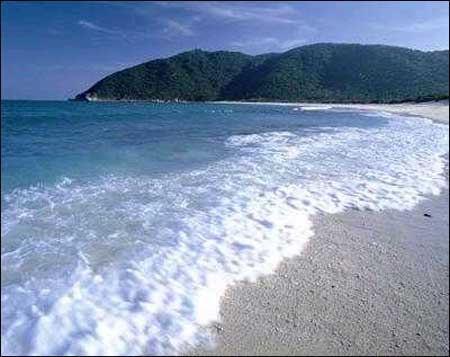 ��Ʒ������