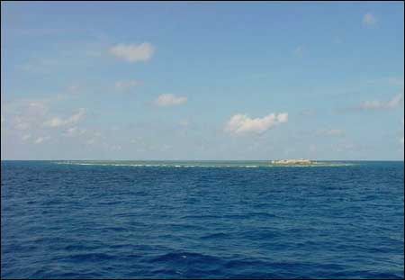 ��Ʒ������