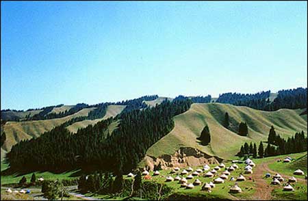 ��Ʒ������