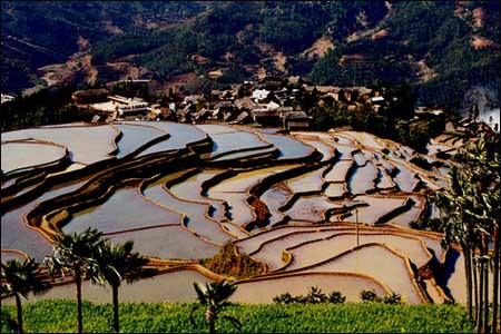 ��Ʒ������