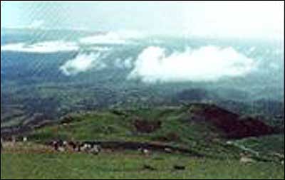 ��Ʒ������