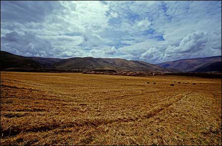 ��Ʒ������