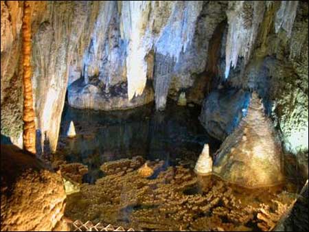 ��Ʒ������