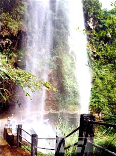 ��Ʒ������