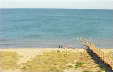 ��Ʒ������