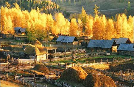 ��Ʒ������