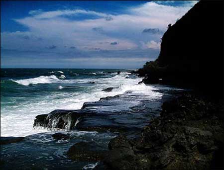 ��Ʒ������