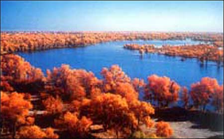 ��Ʒ������