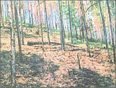 ��Ʒ������