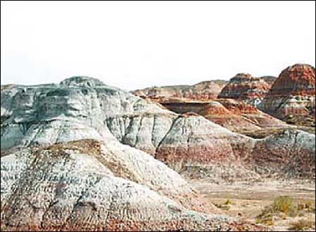 ��Ʒ������