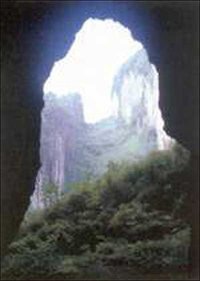 ��Ʒ������