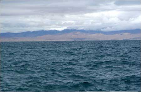 ��Ʒ������