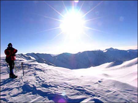 ��Ʒ������