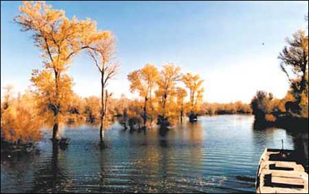 ��Ʒ������