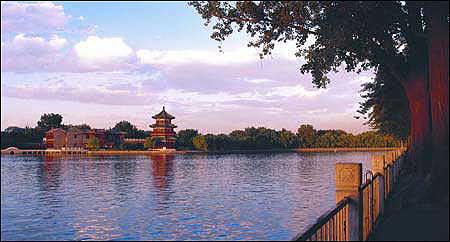 ��Ʒ������