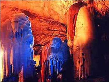 ��Ʒ������