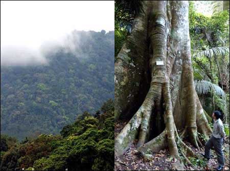 ��Ʒ������