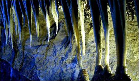 ��Ʒ������