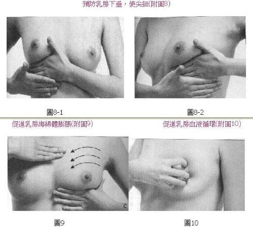 ��Ʒ������