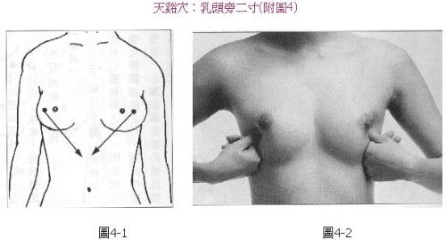 ��Ʒ������