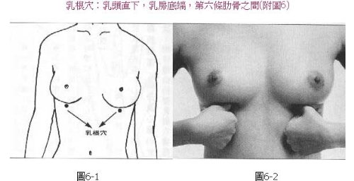 ��Ʒ������