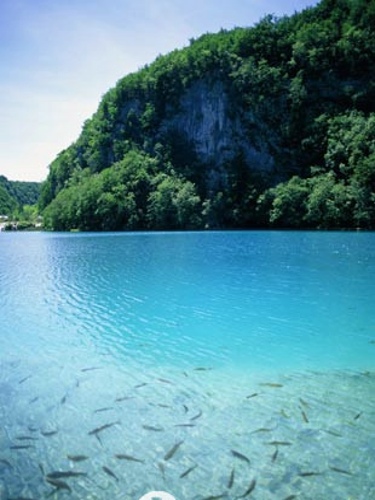 ��Ʒ������