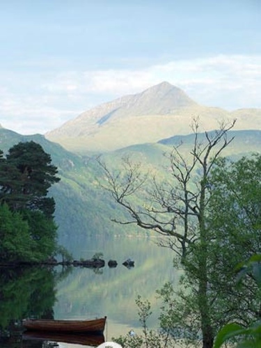 ��Ʒ������