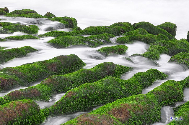 ��Ʒ������