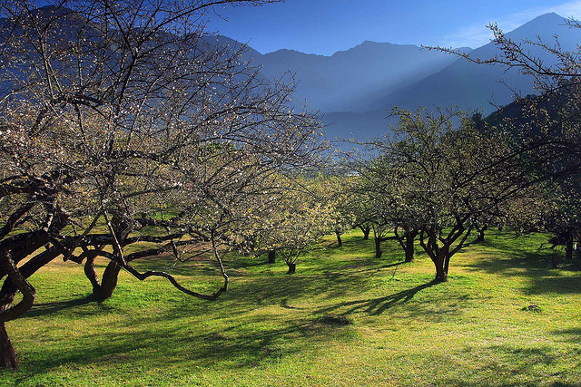 ��Ʒ������