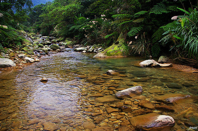 ��Ʒ������