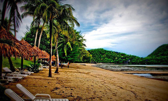 ��Ʒ������