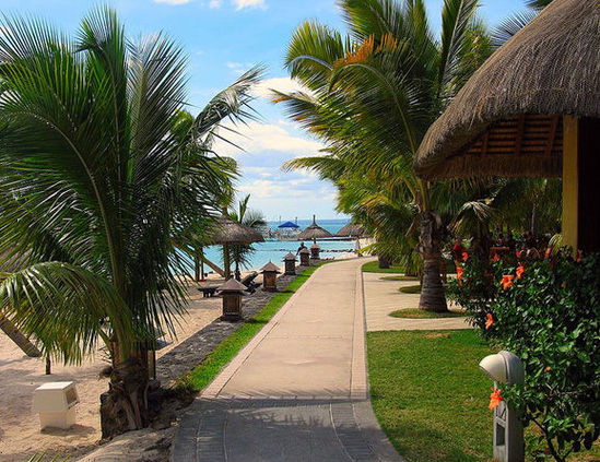 ��Ʒ������