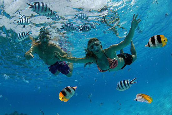 ��Ʒ������