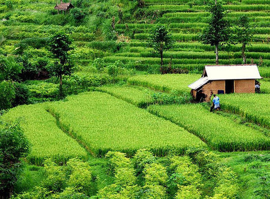 ��Ʒ������