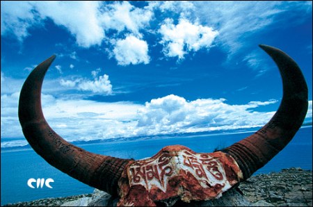 ��Ʒ������