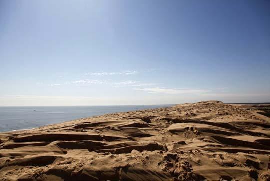 ��Ʒ������