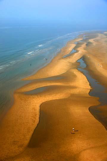 ��Ʒ������