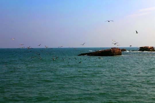 ��Ʒ������