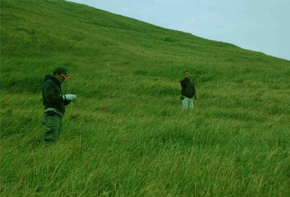 ��Ʒ������